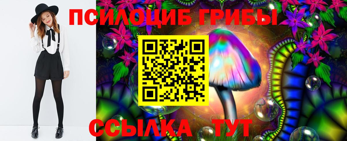 Галлюциногенные грибы Psilocybe  Вход с VPN  Знаменск 